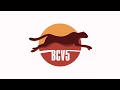 Fast Efficient Db2 Data Migration