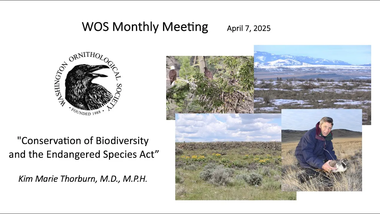 Kim Thorburn: Conserving Biodiversity & the Endangered Species Act, WOS Monthly Mtg, April 7, 2025