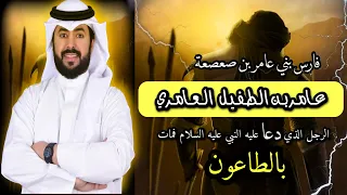 فارس بني عامر بن صعصعة عامر بن الطفيل العامري 