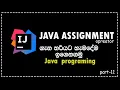 Java Programming in sinhala Assignment Operators part 11