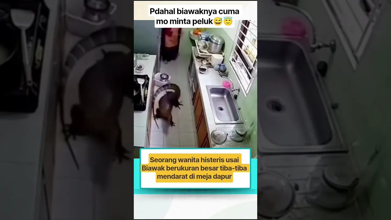 ya allah ya rab😅