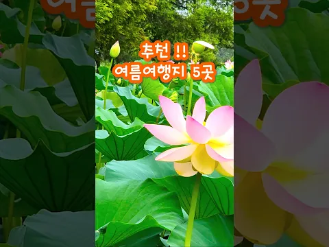 추천 여름 여행지 5곳 #국내여행 #여행 #한국여행