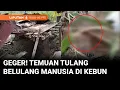 Download Lagu Geger! Warga Temukan Tulang Belulang Manusia di Kebun Indragiri Hilir | Liputan 6 Riau-Kepri
