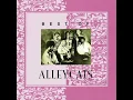 Alleycats Jika Kau Bercinta Lagi