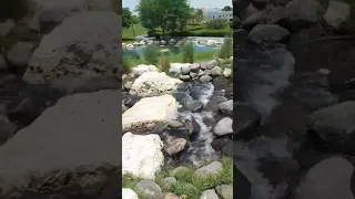 نهر في قطر River In Qatar Qatar River Katara قطر كتارا 