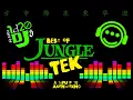 Lagu Best of JungleTek - 1d20 DJs Session (tribute to Amen4tekno)