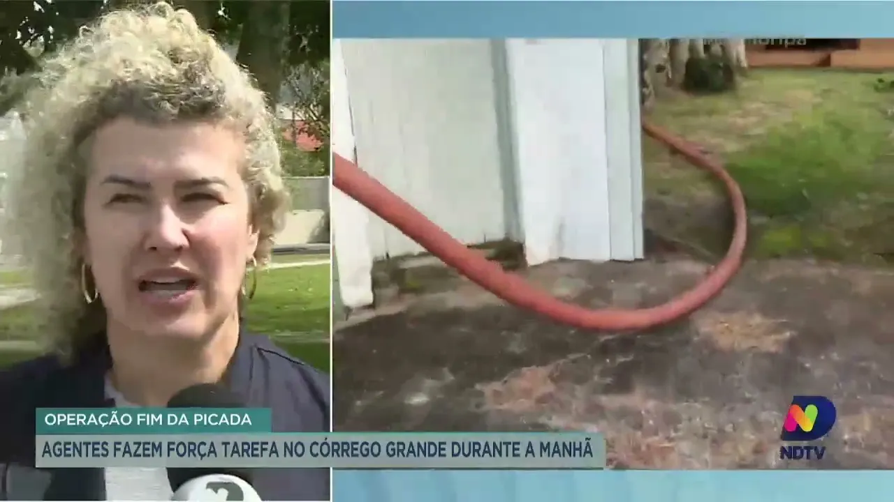 Combate à dengue: agentes de saúde fazem força-tarefa na Capital na manhã desta segunda-feira