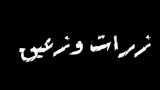 حالات واتس اغنية ياندال ياولاد الفاجره حلقولو 