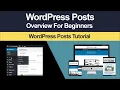 Beginners Guide To WordPress Posts Step By Step Tutorial