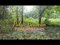 Download Lagu Pasca gempa bumi Pulau Bawean # Halili S.Pd.I