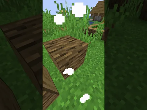 The temple has no roof. Minecraft