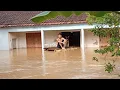 Download Lagu Kéo Cá Sông Cầu mưa lũ lịch sử chưa từng có trúng ổ cá khủng. Hoàng Hiền