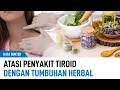 Download Lagu Daftar Tumbuhan Herbal Mampu Atasi Keluhan Penyakit Tiroid | Kata Dokter