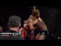 Violent Bob Ross Pro Hilights