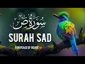 Download Lagu Surah Sad  By Hafiz Javed amazing quran Kareem tilawat beautiful video سورۃ ص By Hafiz Javeed