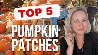 Which is the Best Pumpkin Patch Chicago