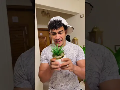 اختك القلودة الي بتقلدك في كل حاجة 😂😂💔