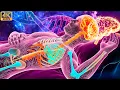 432Hz + 369Hz + 528Hz + 741Hz + 1111 |The Deepest Healing: Whole Body Regeneration, Relieve Stress#3