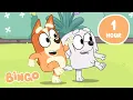 LIVE The Best of Bingo s Friends Bluey and Bingo Friendship Moments Bingo