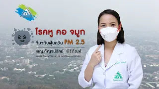  PM 2.5 คืออะไร และมีผลกระทบต่อสุขภาพอย่างไร
