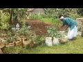 Download Lagu In Her 50s, She Grows Her Own Vegetables Using Sacks and Containers.