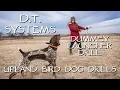 D T Systems Dummy Launcher Drill - Upland Bird Dog Training