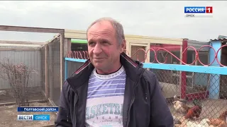 Житель села Малахово Полтавского района разводит птиц, которые несут пасхальные яйца