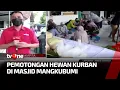 Download Lagu Kurban di Masjid Mangkubumi, Daging Dibagikan ke Warga Sekitar | Indonesia Berkurban