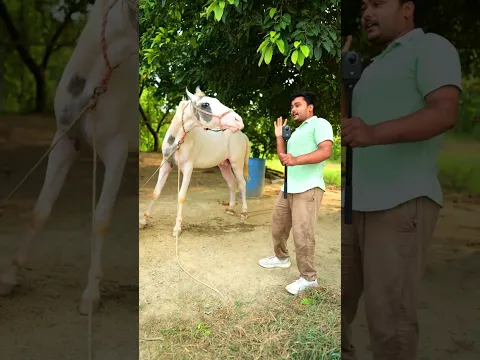 DJI 360 Camera On Horse
