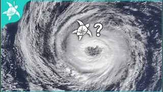 Hurricane Florence Aftermath, what happened to our boat in New Bern NC