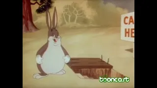 Looney Tunes | Tooncast | 14/09/2023 | Exibição da noite (21h30)