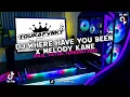 Download Lagu DJ WHERE HAVE YOU BEEN X MELODY KANE VIRAL TIKTOK TERBARU 2025