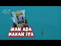 Download Lagu Lapak Suko Sumberpucung‼️ Waduk Karangkates Malang Jawa Timur Indonesia