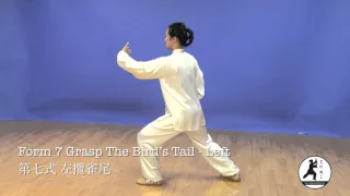 yang style 24 form back view demonstration 24 