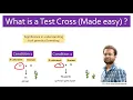 What is Test cross Made easy with example