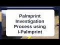 I-Palmprint Graphical User Interface GUI for Palmprint Identification System PIID 2021
