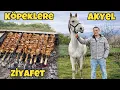 Lagu Ev Temizliği 🧼 Hayvanlarla Mangal 🍖 At Akyel ile Zaman 🎠 Eren Acil Çiftlik Vlog