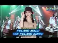 Download Lagu Diandra Ayu - Pulang Malu Tak Pulang Rindu (Official Music Video NEW KENDEDES)