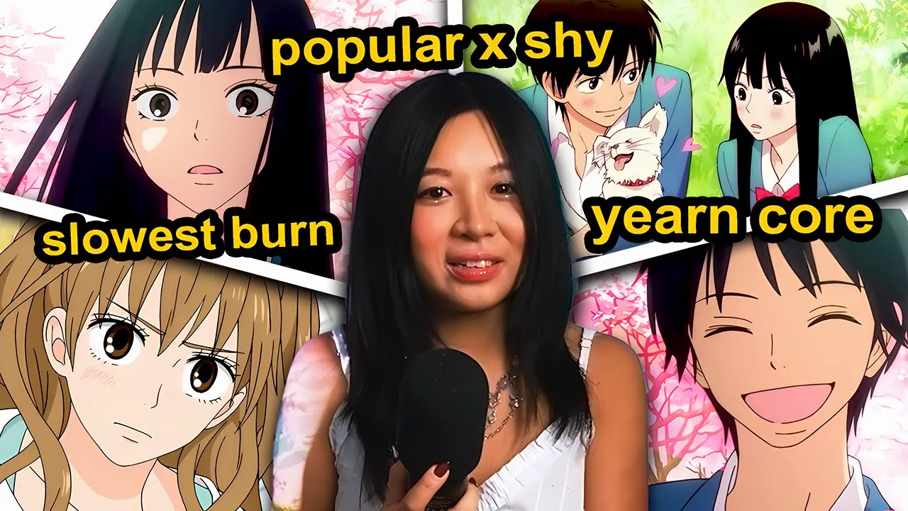 Do You Remember Kimi Ni Todoke?