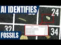 Using Machine Learning AI to identify fossils - 80 accurate