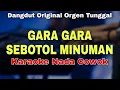 Download Lagu GARA GARA SEBOTOL MINUMAN - KARAOKE LIRIK VERSI DANGDUT ORIGINAL || NADA COWOK