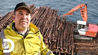 Jared Risks Everything For $150,000 In Timber | The Last Woodsmen
