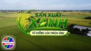 Nông nghiệp xanh: Sản xuất xanh từ giống lúa thích ứng