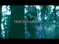 Lagu Dr. Peacock \u0026 Billx - Trip to Lapland