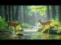 Beautiful Relaxing Piano Music 🍀The Sound of the Stream for Stress Relief Calming Sounds