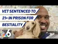 Veterinarian Sentenced to 21 Years in Prison for Bestiality