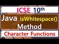 Java - isWhitespace Method ICSE 10th Computer Application