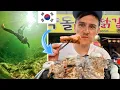 Download Lagu This Is Why I Love Korea!! 🇰🇷❤️ Hidden 계곡 and Real Jeong