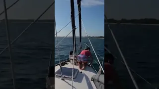 How to set an anchor. FAST! 😁   #sailing #shorts #timelapse