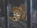 Disney ASPCA Commercial